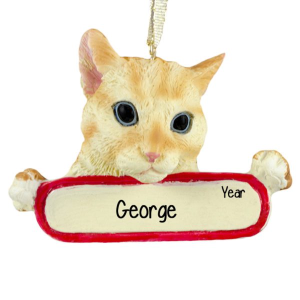 ORANGE TABBY CAT On Banner Personalized Ornament