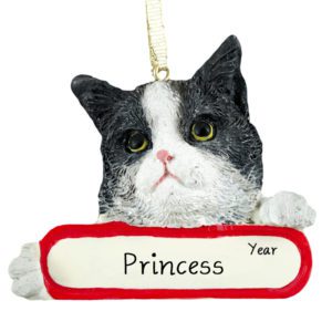 Personalized BLACK & WHITE Cat On Banner Ornament