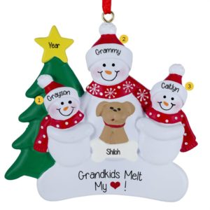 Single Grandparent Or Parent With 2 Kids & DOG Ornament
