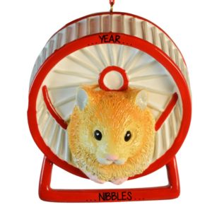 Personalized HAMSTER Pet Christmas Ornament