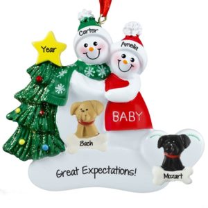 Image of Pregnant Snow Couple + 2 Dogs Personalized Ornament Red Dress