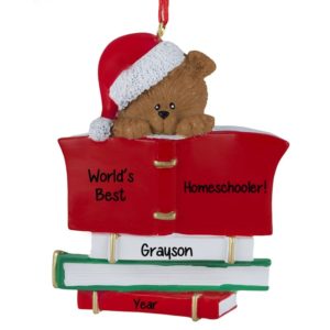 Homeschooled Student Bear Atop Book Personalized Ornament