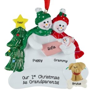 Grandparents Hold Baby GIRL With Dog Personalized Ornament