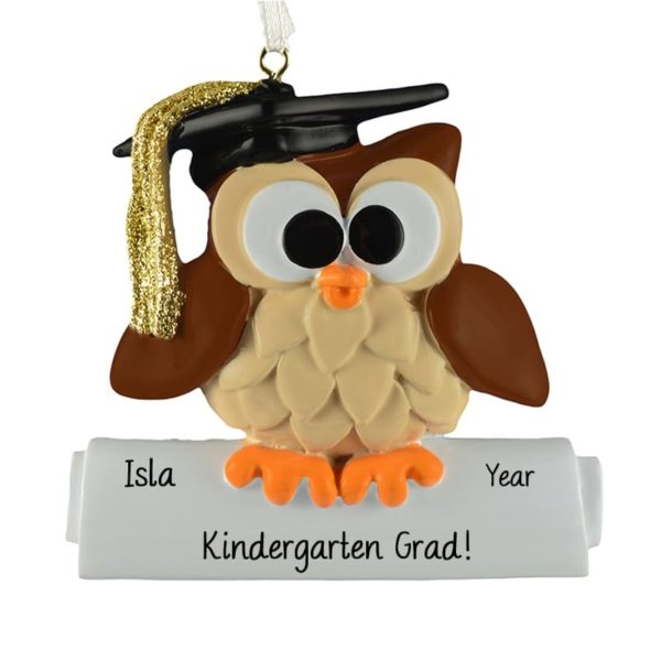 Kindergarten Graduation Owl Perched On A Diploma Ornament