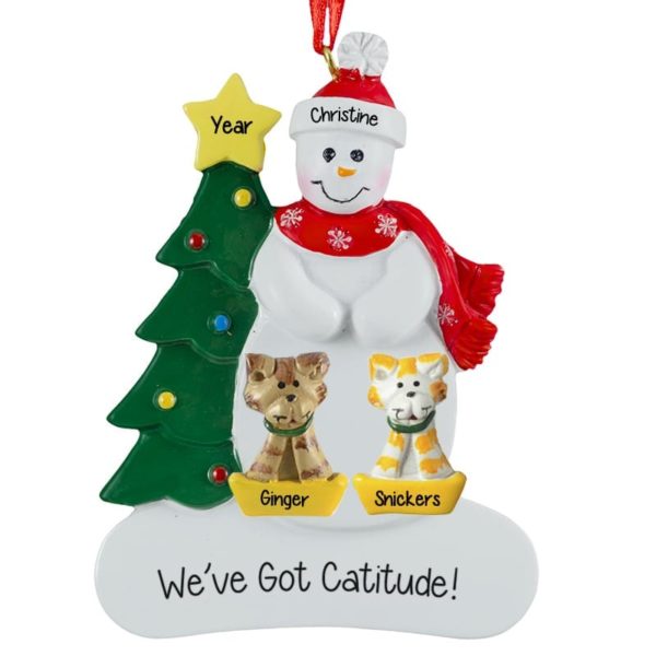 Snowman With 2 Cats Personalized Ornament