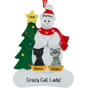 Personalized Crazy Cat Lady 2 Cats Snowman Ornament