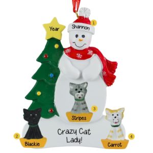 Personalized Crazy Cat Lady 3 Cats Snowman Ornament