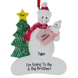 I'm Going To Be A Big Brother Baby Girl Ornament