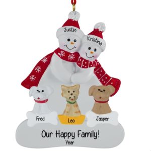 Image of Snow Couple With 2 Dogs And A Cat Ornament