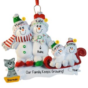 Expecting Snow Couple With 2 Kids And CAT Personalized Ornament