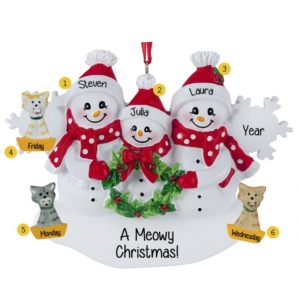 Snowflake Family Of 3 With 3 Cats Ornament