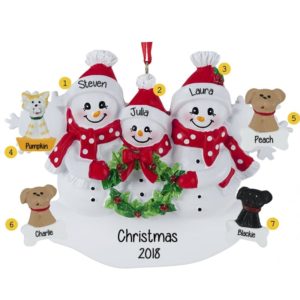 Snowflake Family Of 3 With 4 Pets Ornament
