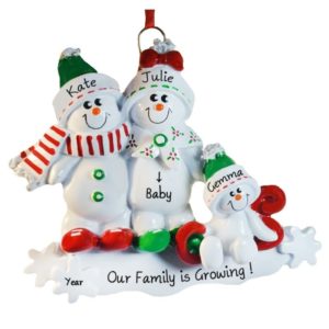 Gay Couple Expecting Second Child Sled Ornament