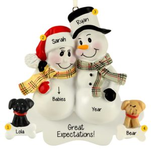 Expecting Twins Snow Couple + 2 DOGS Ornament