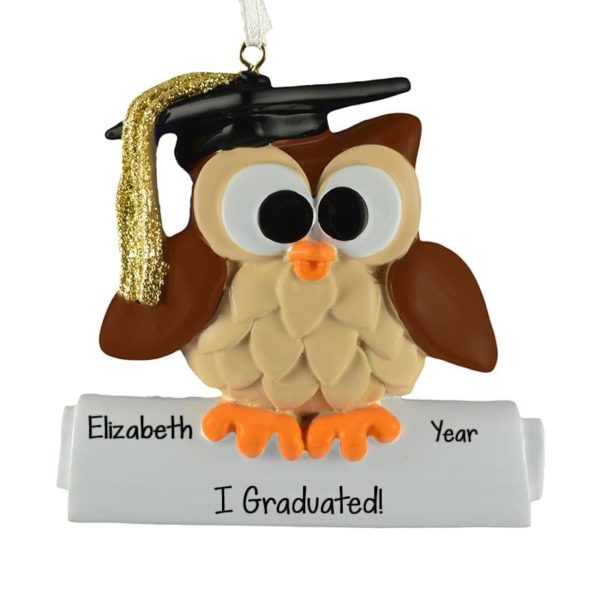 Image of Personalized Graduation OWL Perched On A Diploma Ornament