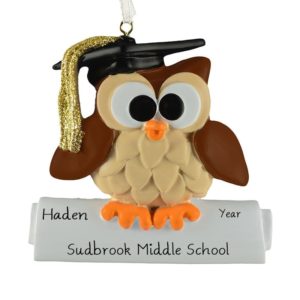 Middle School Graduation Owl Glittered Tassel Ornament