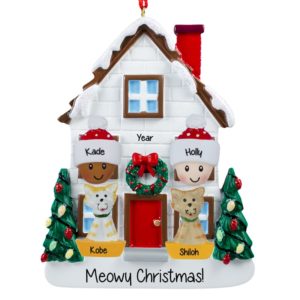Biracial Couple + 2 Cats Christmasy House Ornament
