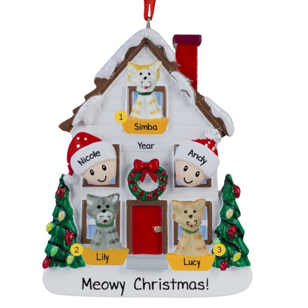Couple With 3 Cats Christmasy House Ornament