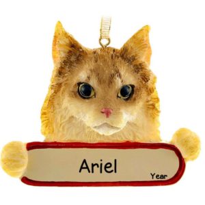 MAINE COON CAT On Banner Ornament