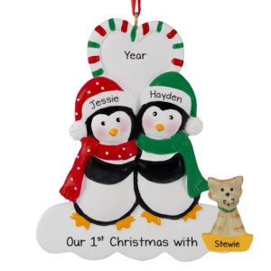 First Christmas With New Cat Penguin Couple Ornament