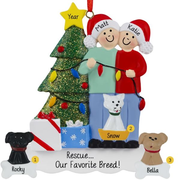 Couple With 3 Rescued Pets Decorating Tree Ornament