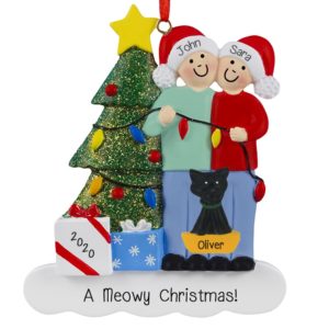Image of Couple With Cat Stringing Christmas Lights Ornament