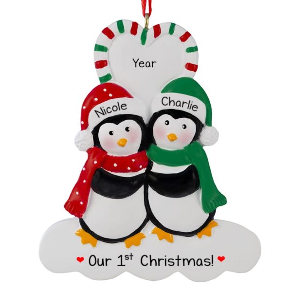 Our 1st Christmas Penguin Couple Ornament