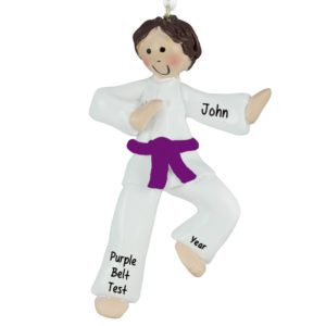 Personalized Karate Boy PURPLE Belt Ornament BROWN Hair