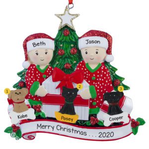Image of Couple With 3 Pets Opening Presents By Tree Ornament