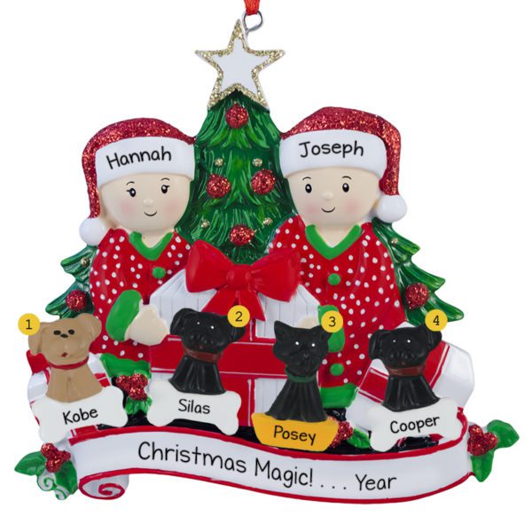 Couple With 4 Pets Opening Presents By Tree Ornament