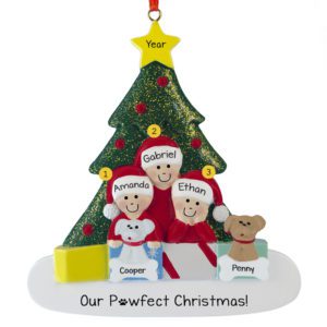 Personalized Family Of 3 With 2 Dogs Glittered Tree Ornament