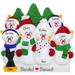 Personalized Snow Family Of 6 With Cat And Glittered Trees Ornament