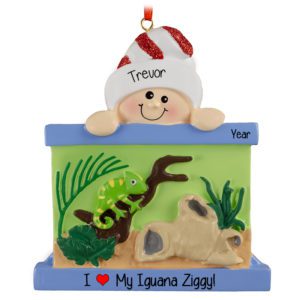 Image of Personalized I Love My Pet Lizard Aquarium Ornament