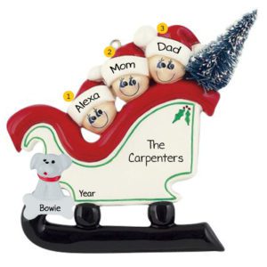Personalized Family Of 3 With Pet In Christmasy Sleigh Ornament