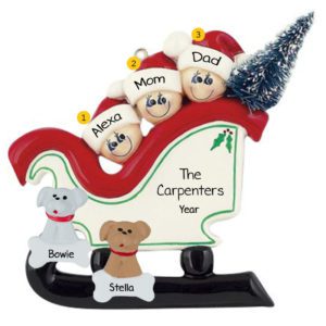 Personalized Family Of 3 With 2 Pets In Christmasy Sleigh Ornament