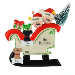 Personalized Couple In Sleigh With 2 Pets Ornament
