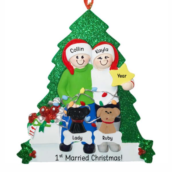 1st Married Christmas Couple With 2 Pets Glittered Tree And Star Ornament