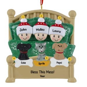 Family Of 3 Cuddling With 3 Pets In Glittered Green Bed Ornament