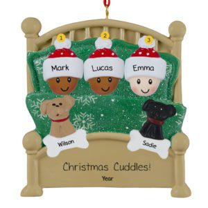 Image of Interracial Family Of 3 And 2 Pets In Green Glittered Bed Ornament