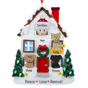 Image of Person With Rescued 3 Pets In Christmasy House Personalized Ornament