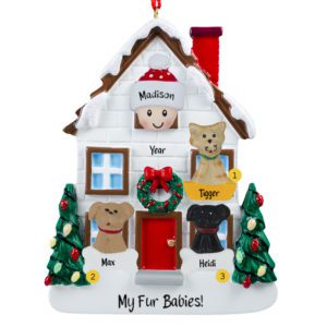 Person With 3 Pets In Christmasy House Personalized Ornament