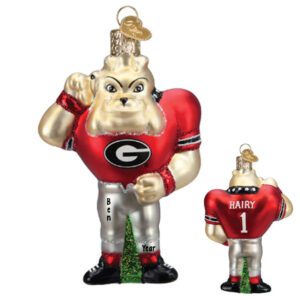 Image of Personalized Georgia Harry Dawg Mascot 3-D Glass Ornament