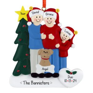 EXPECTING Family Of 3 With Pet And Christmas Tree Personalized Ornament
