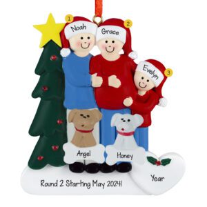 Image of EXPECTING Family Of 3 With 2 Pets And Christmas Tree Personalized Ornament