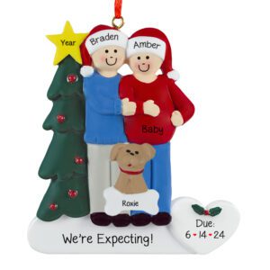 EXPECTING Couple With 1 Pet And Christmas Tree Personalized Ornament
