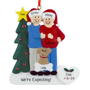 EXPECTING TWINS Couple With 1 Pet And Christmas Tree Ornament