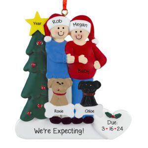 EXPECTING Couple With 2 Pets And Christmas Tree Personalized Ornament