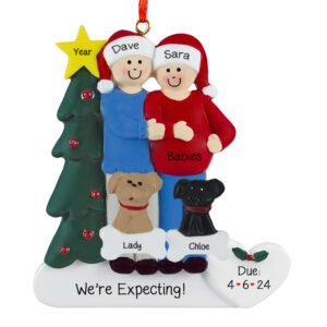 EXPECTING TWINS Couple With 2 Pets And Christmas Tree Personalized Ornament