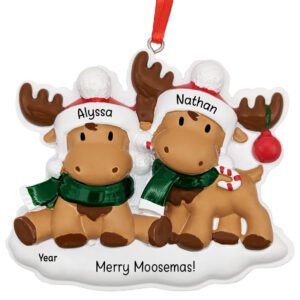Cutesy Moose Couple Wearing Matching Scarves Ornament