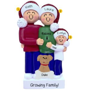 Personalized Family Of Three With Pet Expecting TWINS Ornament